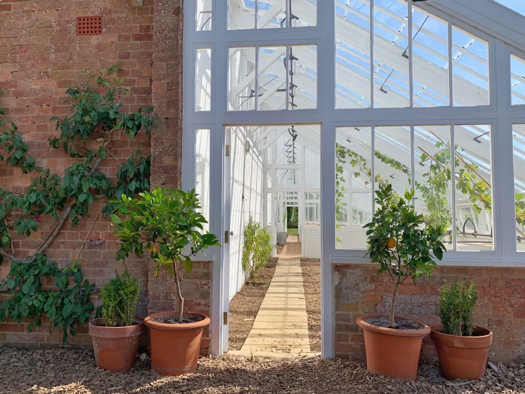Large glass conservatory structure with clean panels