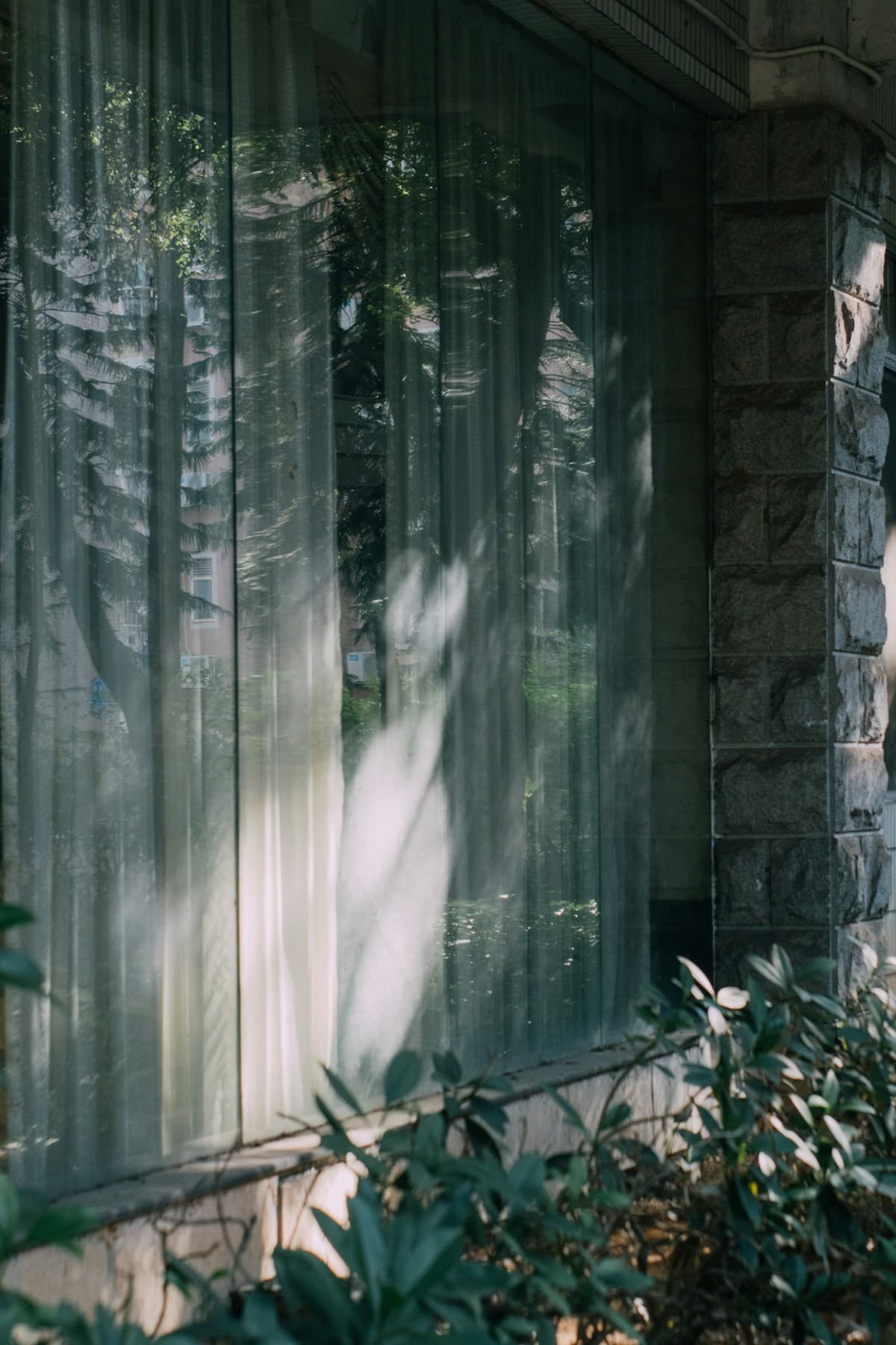 Sparkling clean building windows reflecting trees and sunlight